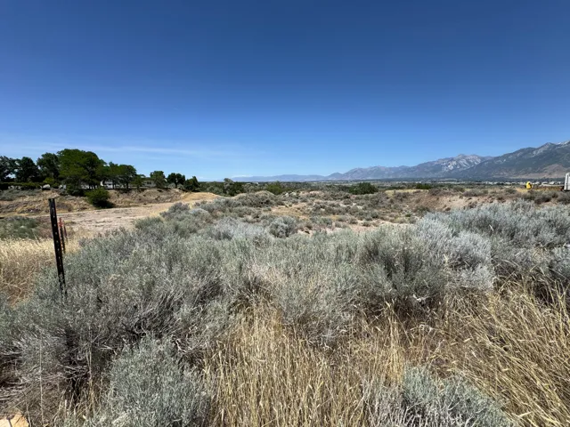 North view of the lot from the south western corner of the lot.
