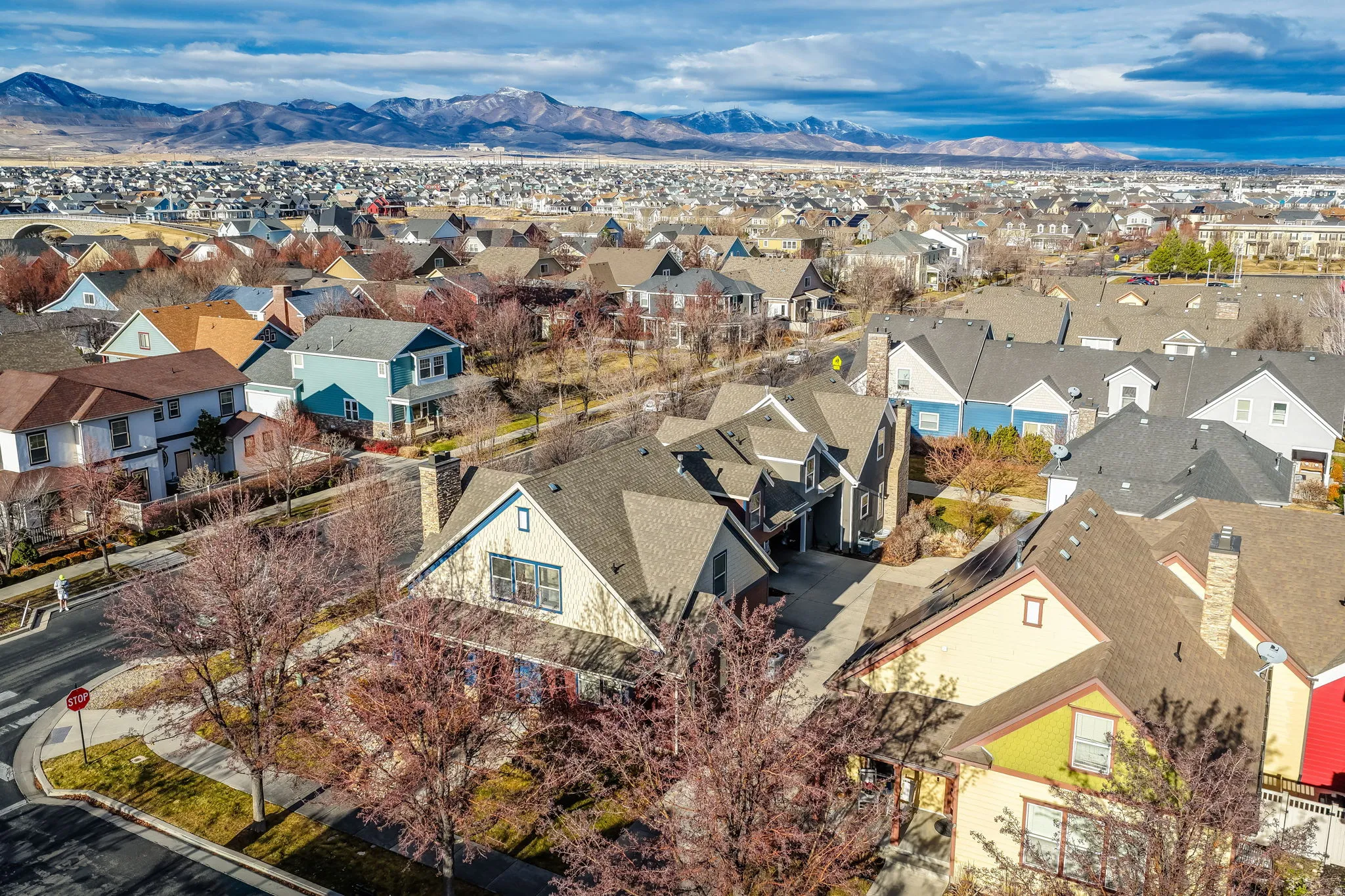 Residential neighborhood featuring diverse architectural styles and mature trees