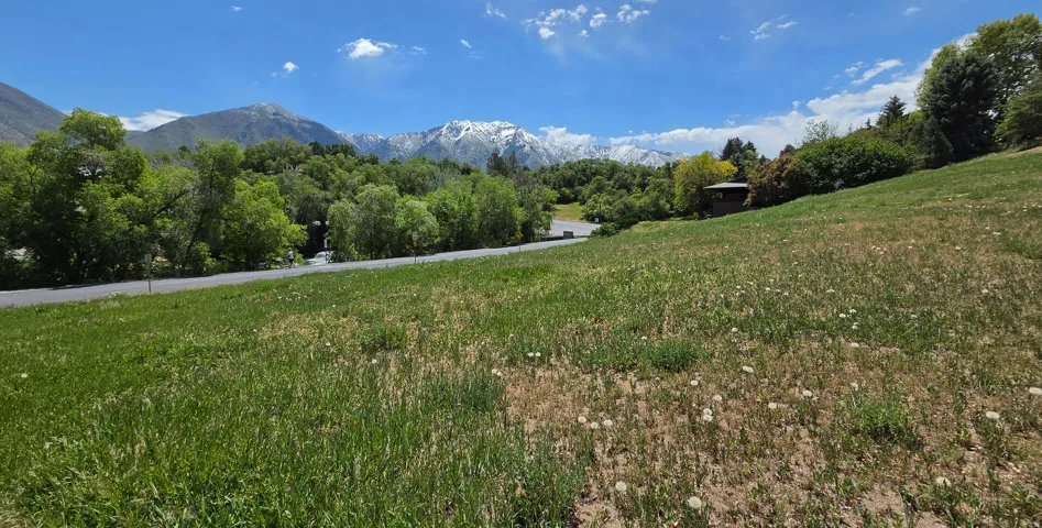 Expansive sloped grassy terrain with mature trees and paved road, framed by distant snow-capped mountains
