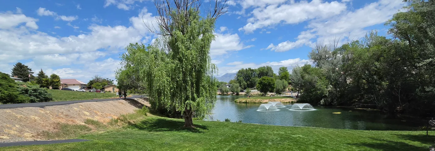 Lush green lawn with a weeping willow tree, overlooking a pond with two water features