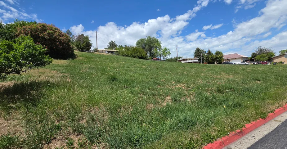 Expansive sloped lot featuring natural grass, mature trees, and an asphalt street with a red curb