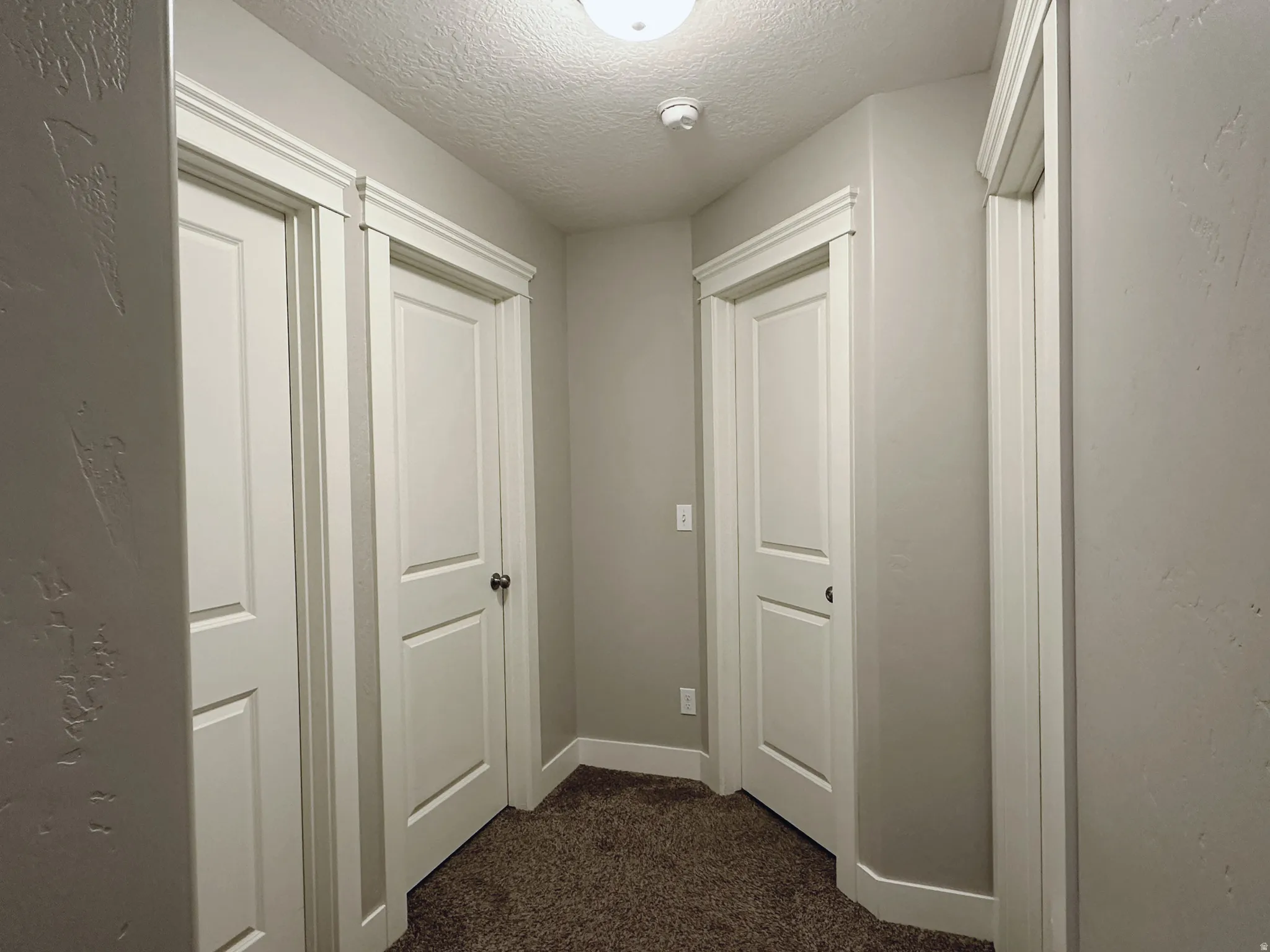 Hallway featuring multiple white paneled doors with decorative trim, textured walls, and brown carpet flooring