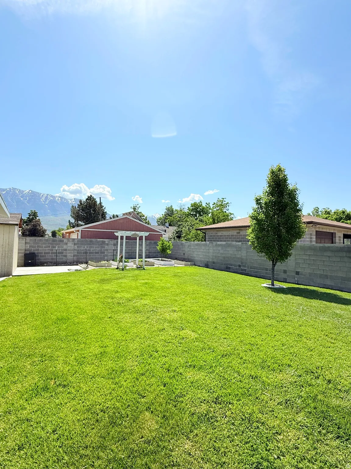 Expansive green lawn featuring a mature tree and a decorative pergola structure