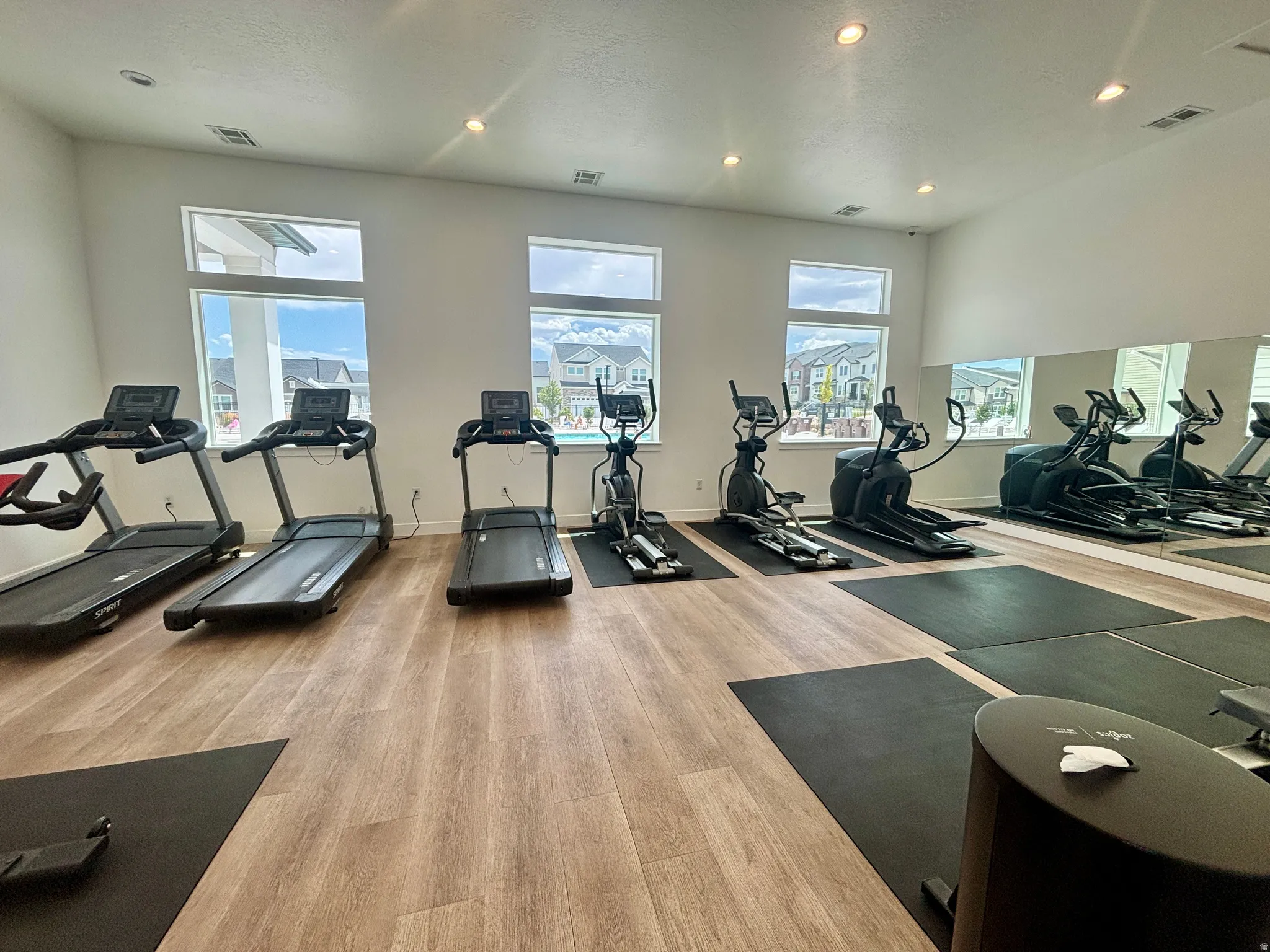 Fitness center featuring wood-finish flooring and extensive natural light