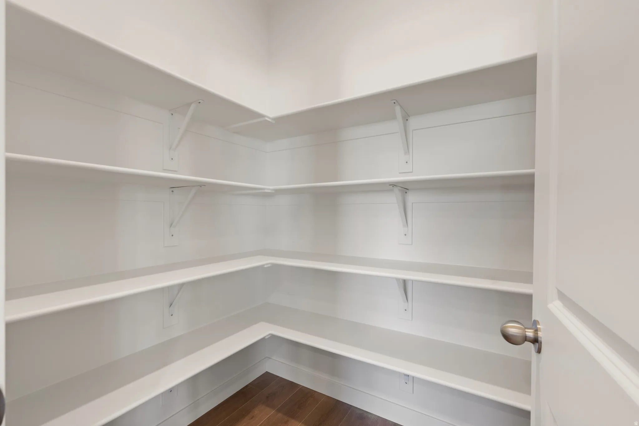 Spacious pantry featuring multiple tiers of built-in shelving, white painted finishes, and wood-finish flooring