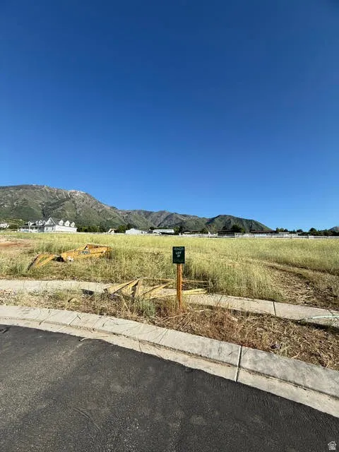 Expansive undeveloped lot featuring a paved street frontage, concrete curbing, and a prominent mountain backdrop