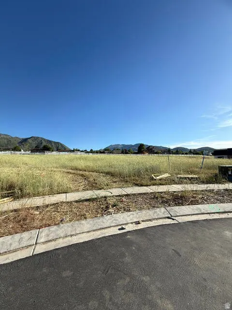 Expansive undeveloped land featuring a paved street and concrete sidewalk