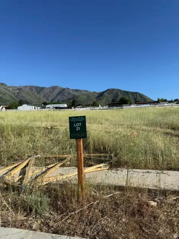 View from front of lot toward the back