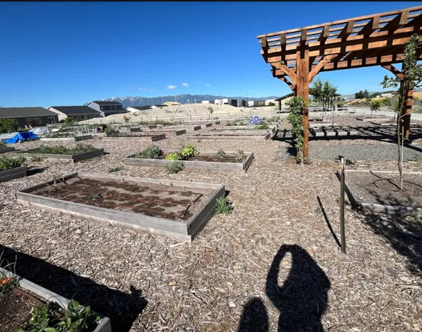 Community garden area featuring multiple raised planter beds and a substantial wood pergola with a clear roof