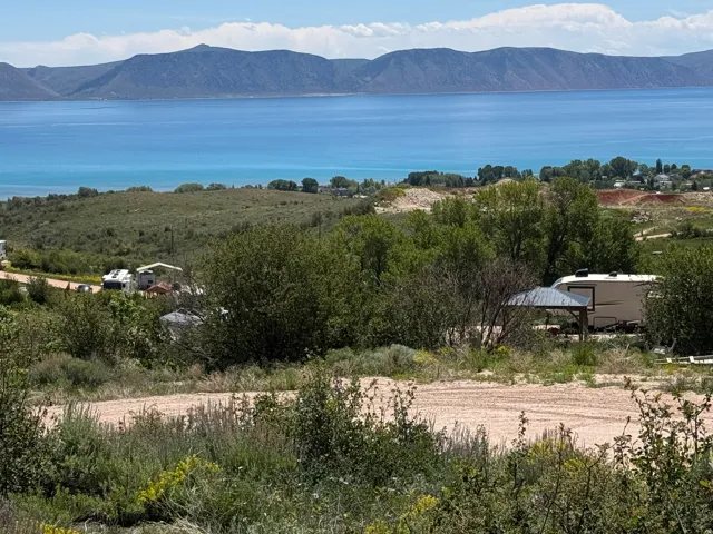 Expansive, undeveloped lot featuring a natural landscape of varied foliage, scattered mature trees, and a distant body of water