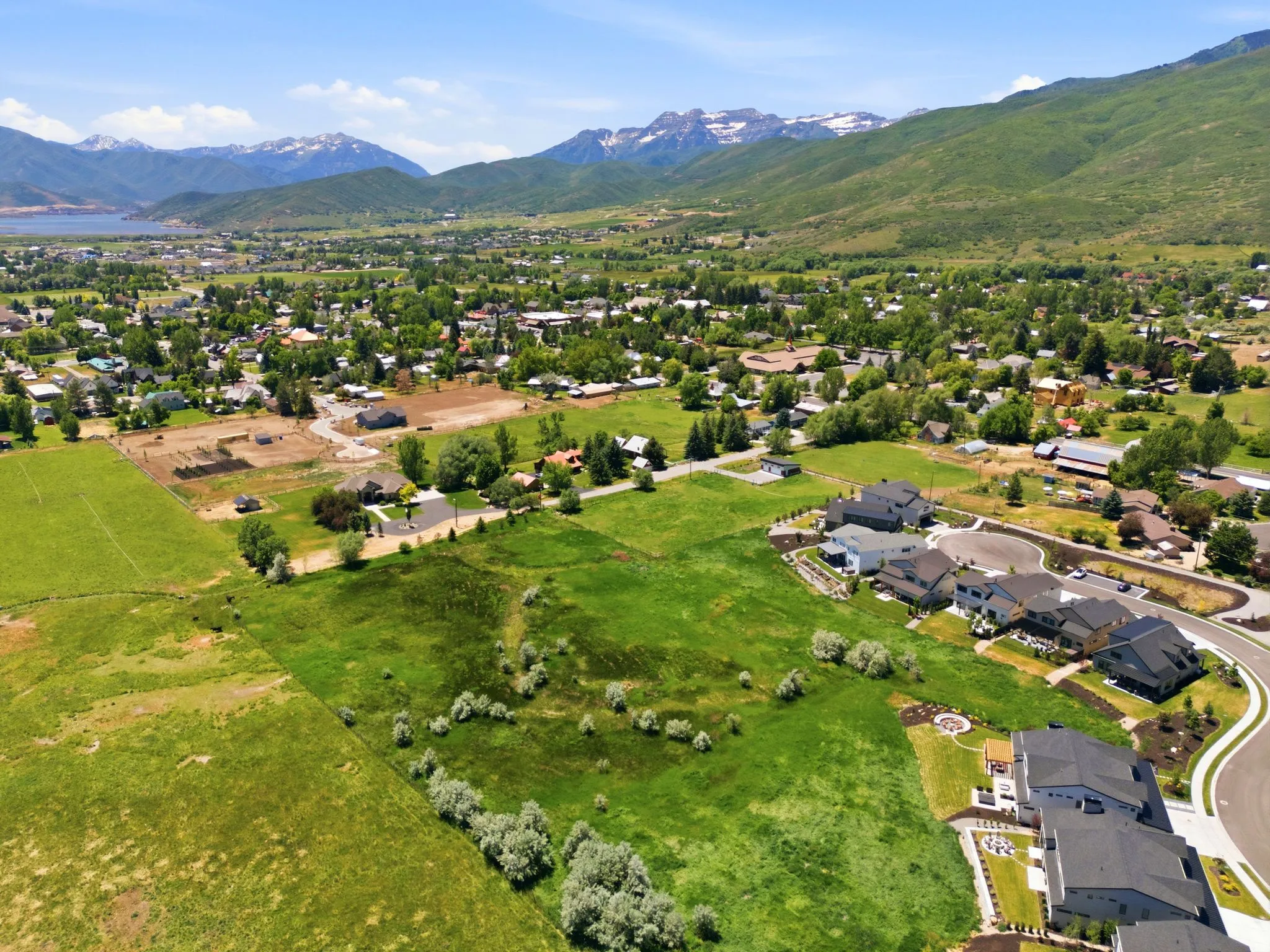 Expansive undeveloped lot featuring lush green vegetation and scattered mature trees, bordered by a paved road