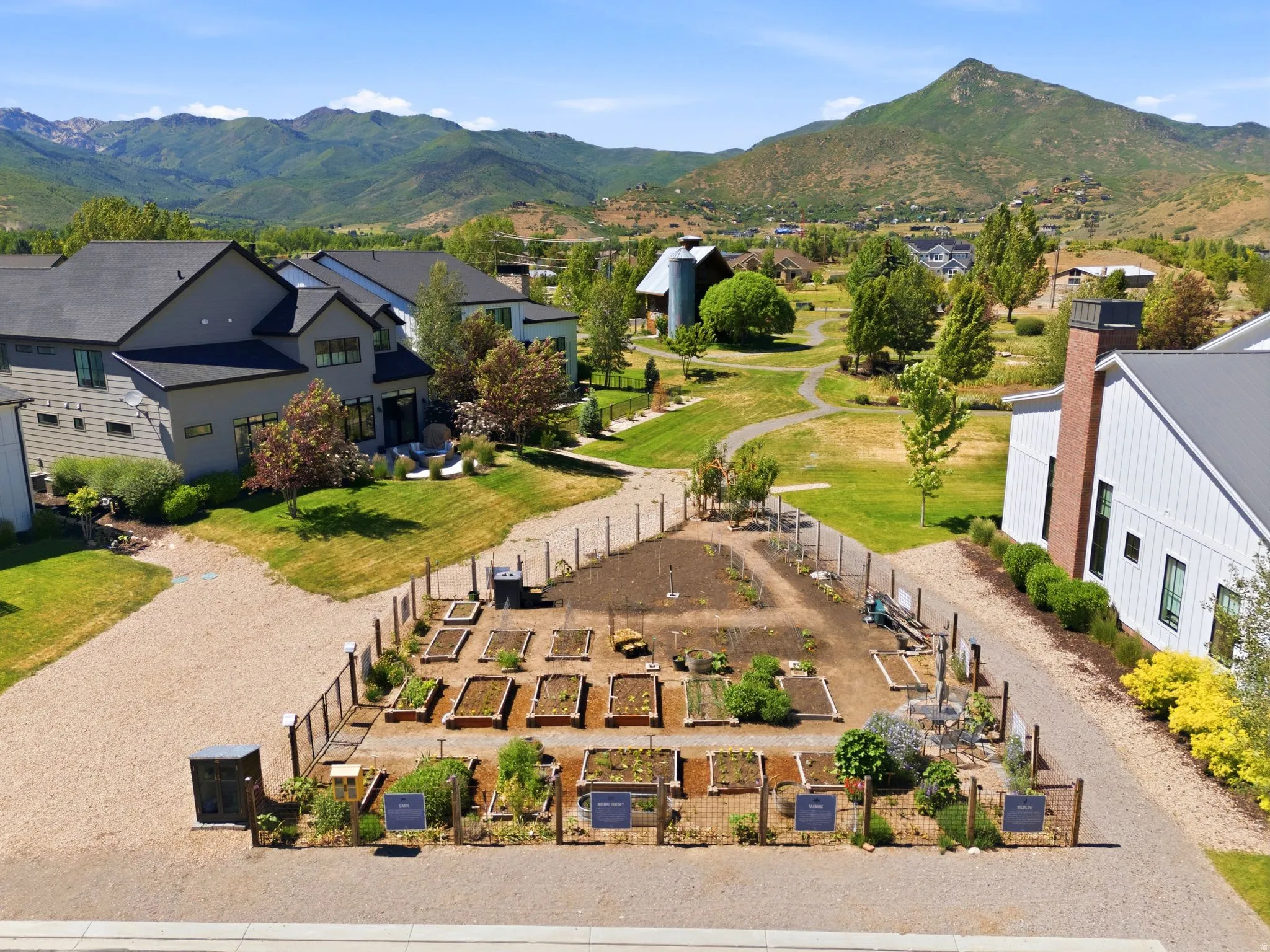 Community garden featuring multiple raised beds with various plantings