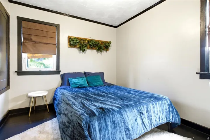 Bright room featuring dark trim, two windows with window treatments, and high ceilings
