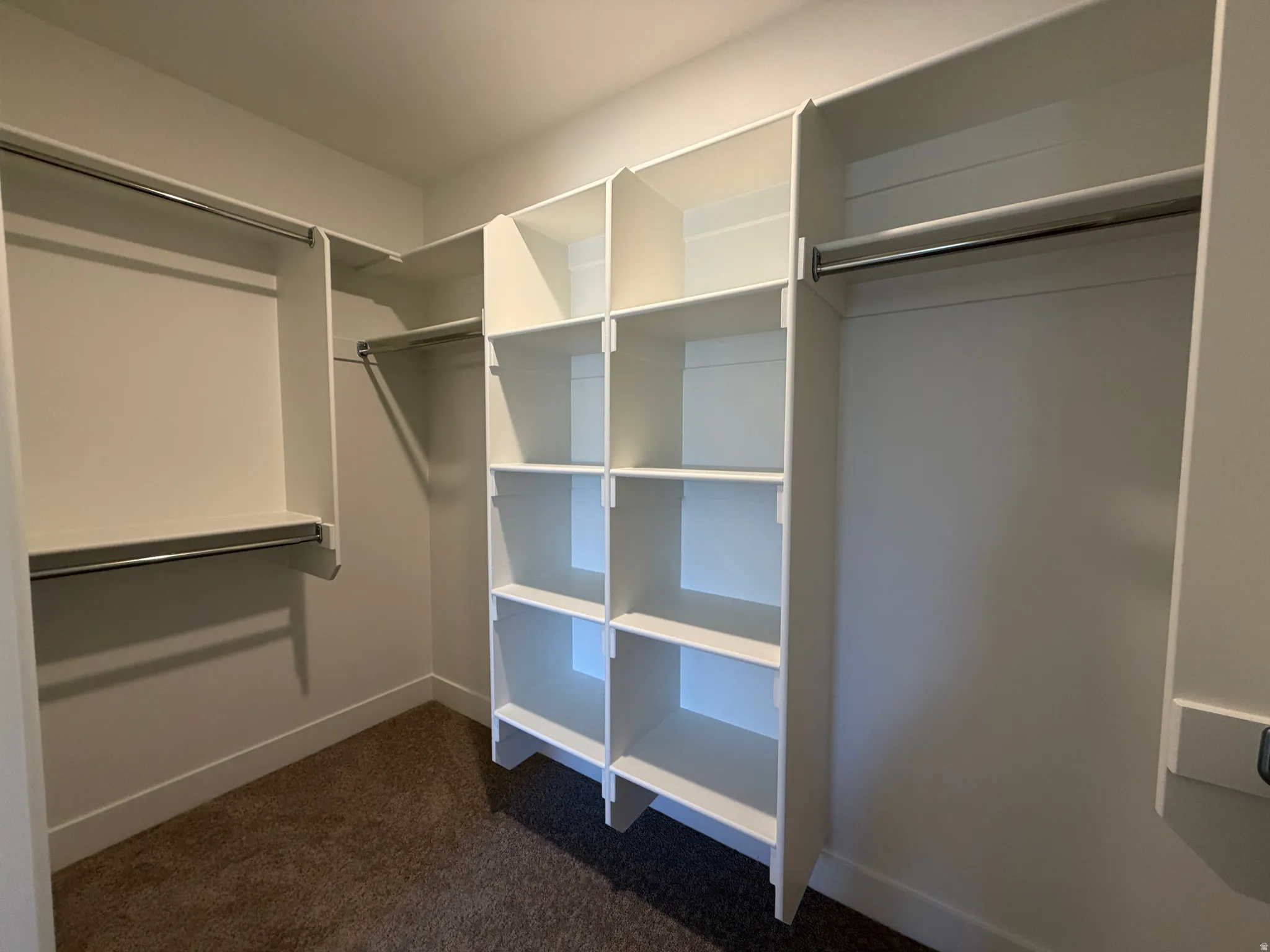 Spacious walk-in closet featuring white built-in shelving, chrome hanging rods, and plush carpet flooring