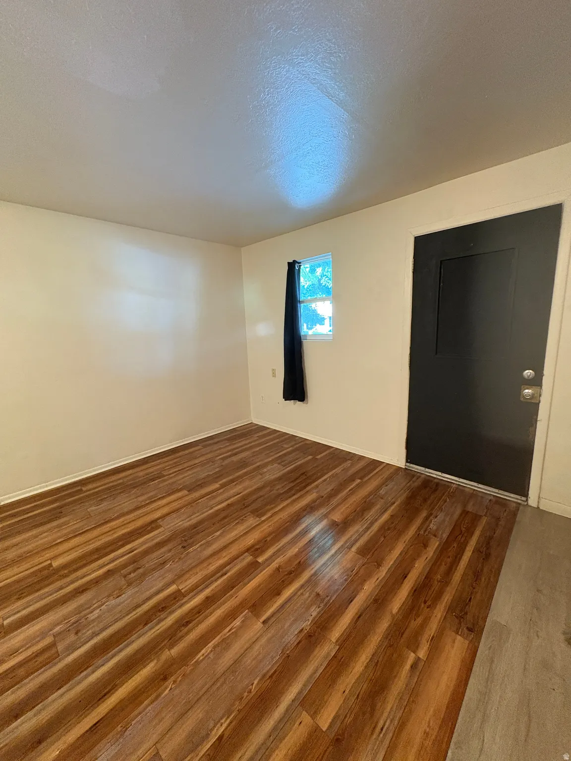 Spacious room featuring wood-finish flooring, light-toned walls, and a black paneled door