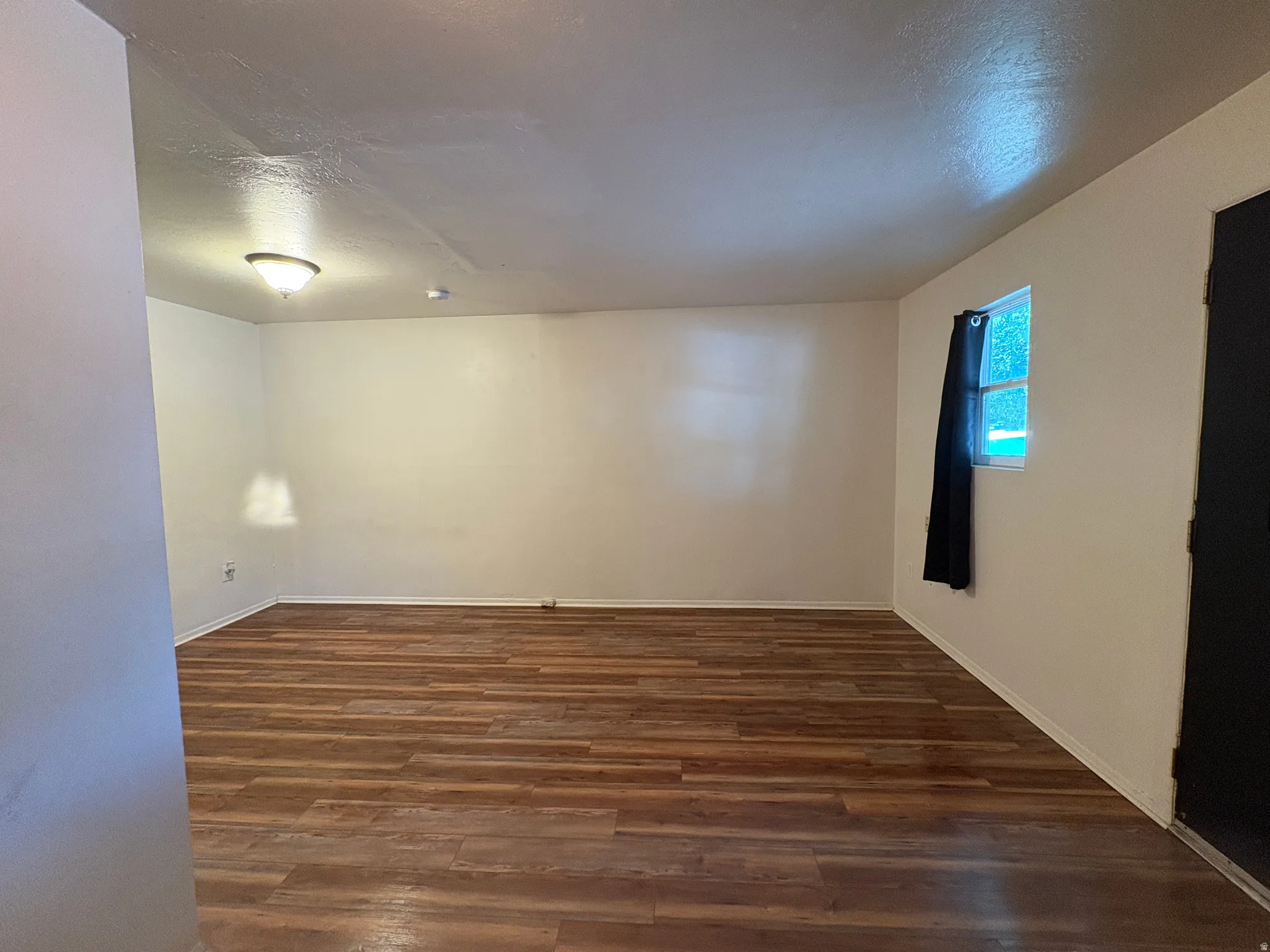 Spacious room featuring wood-finish flooring, light-toned walls, a flush-mount ceiling light, a window with natural light, and a dark-paneled door