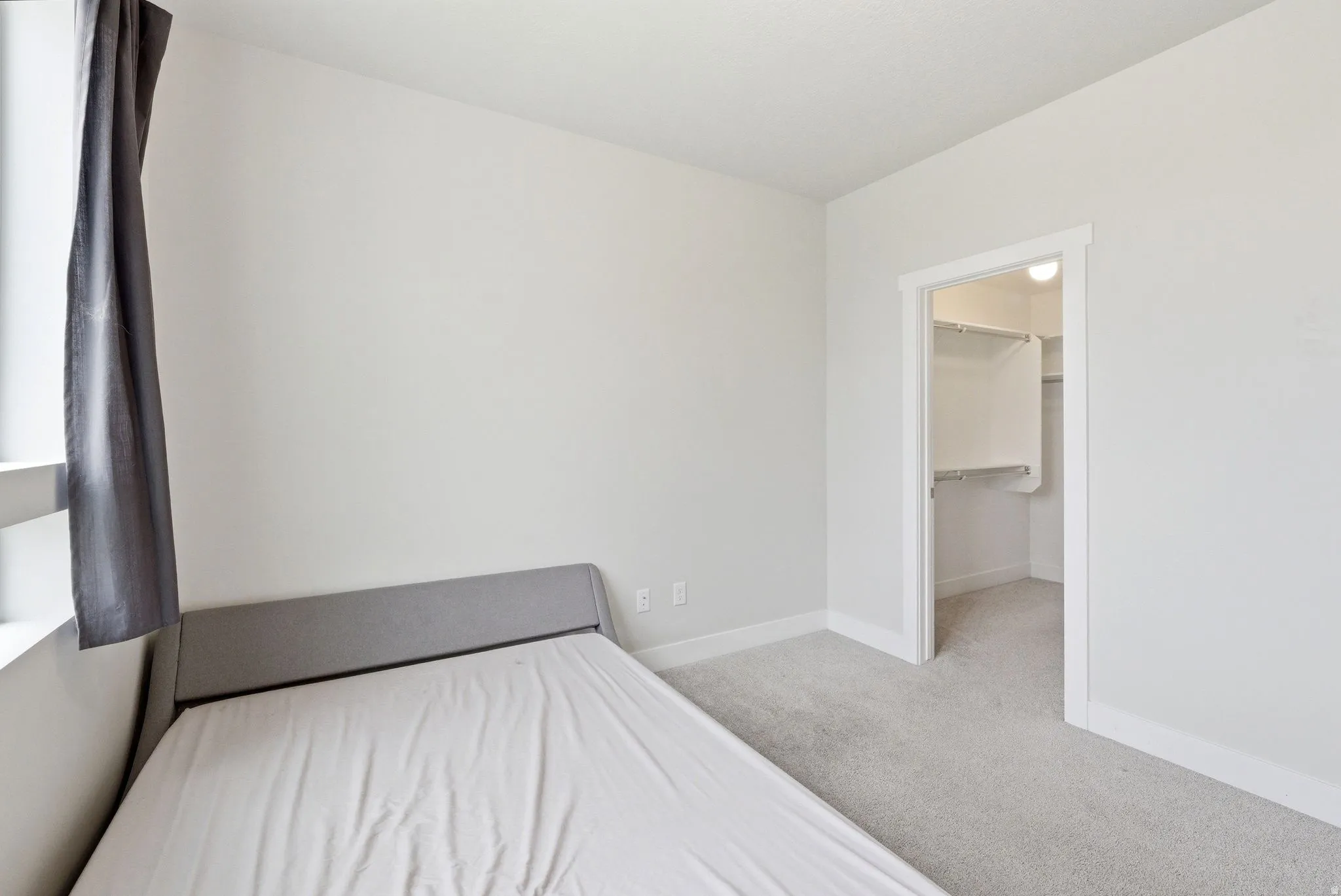 Neutral wall color, carpeted flooring, and a walk-in closet with built-in shelving