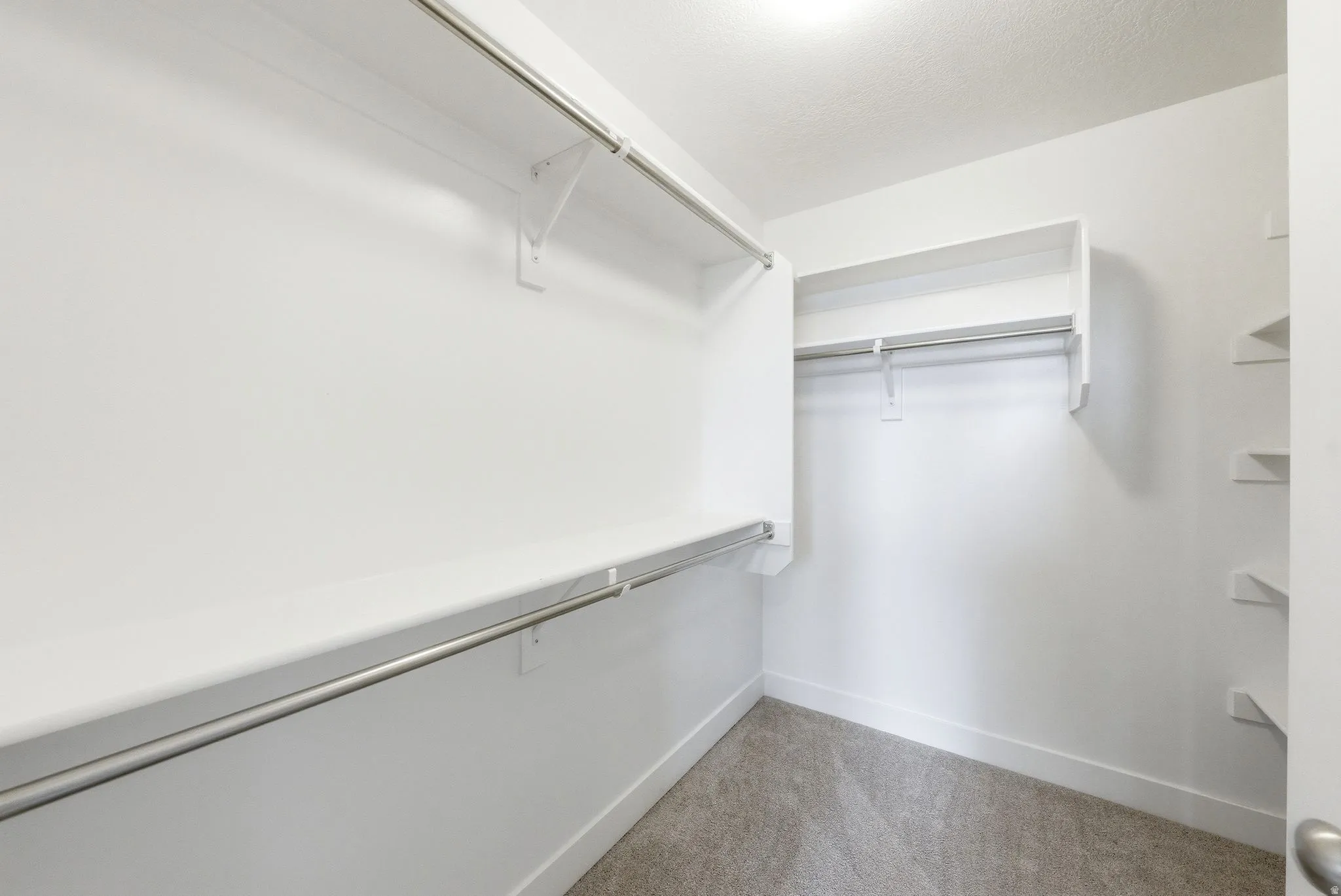 Walk-in closet featuring white walls, carpet flooring, multiple shelving units, and hanging rods