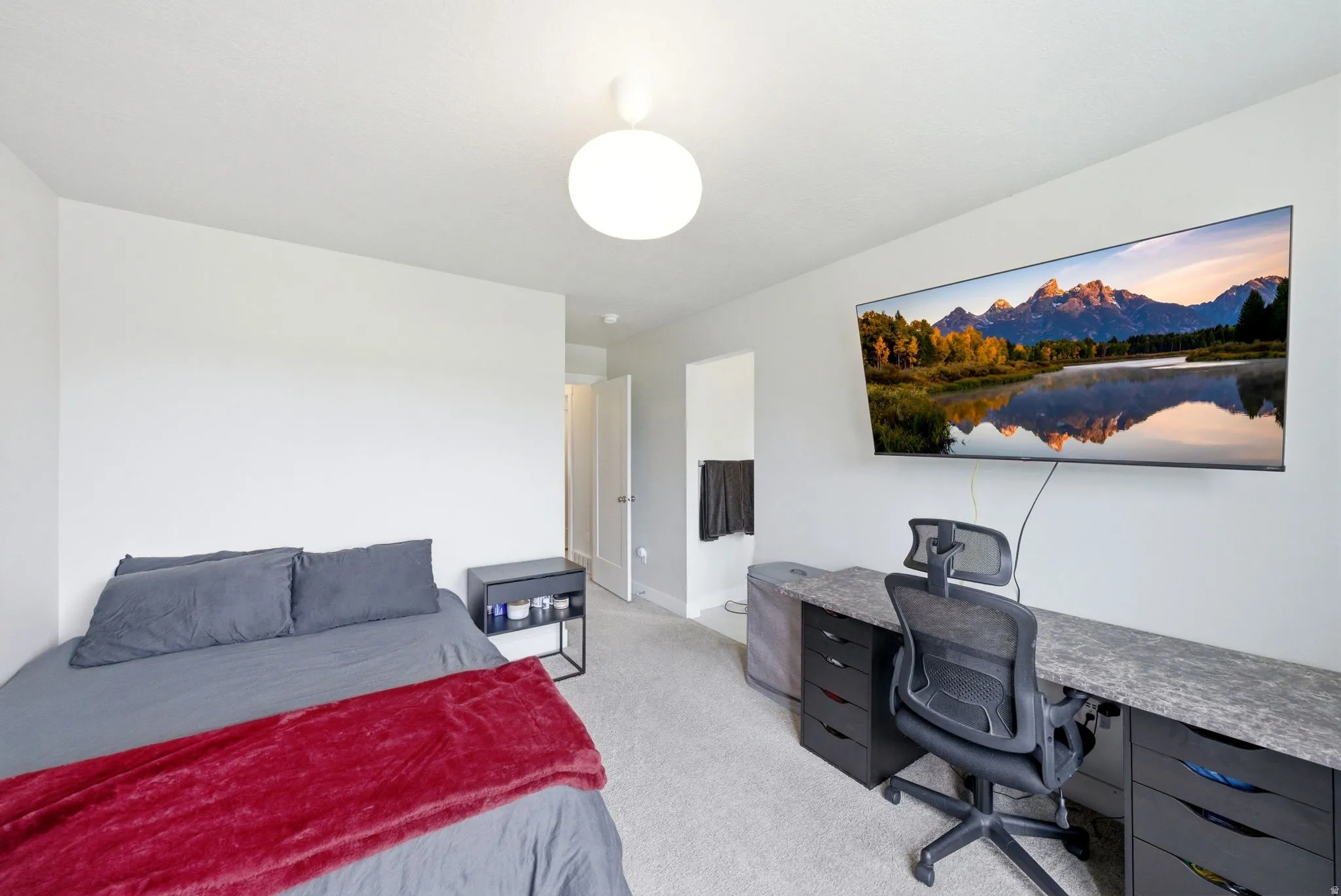 Carpeted bedroom with neutral wall tones and a ceiling-mounted light fixture