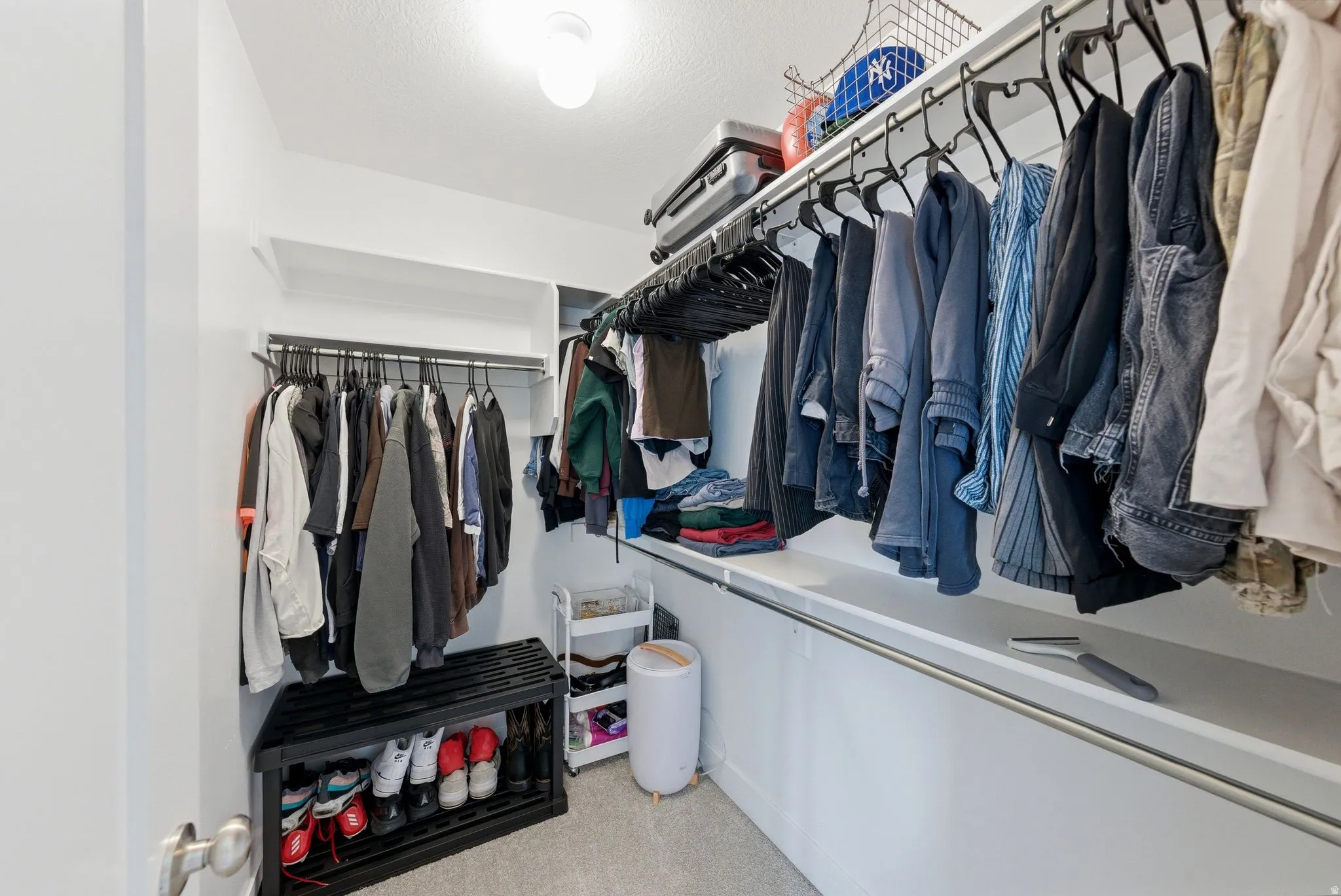 Walk-in closet featuring carpet flooring, built-in shelving, hanging rods, and an overhead light fixture