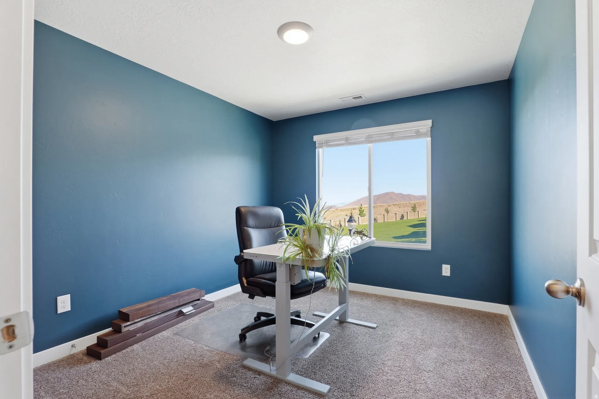 Room featuring blue painted walls, neutral-toned carpet, a single window with white trim, and a flush-mount ceiling light fixture