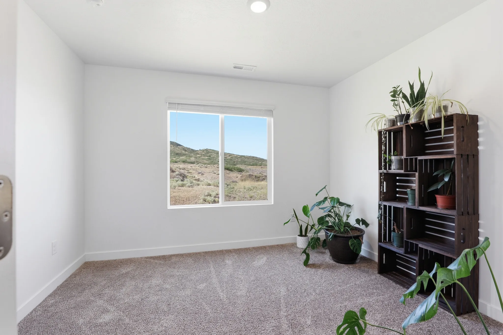 Carpeted room featuring a large window, white walls, and bright overhead lighting