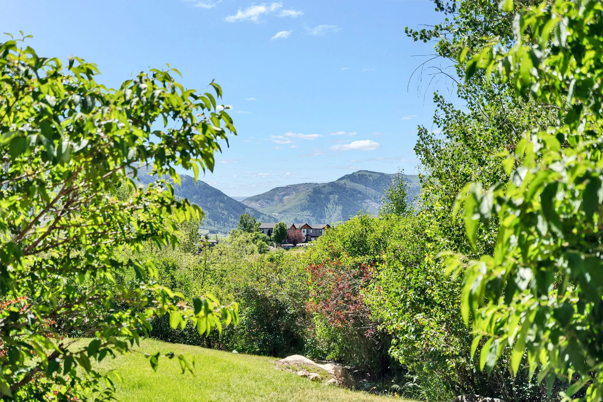Expansive green landscape featuring mature trees and distant mountain ranges