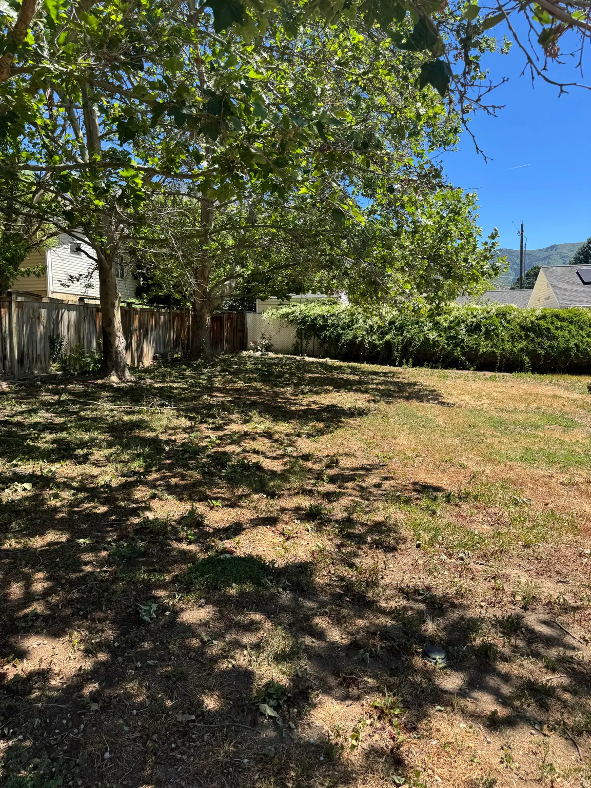 Expansive, level yard featuring mature trees providing natural shade