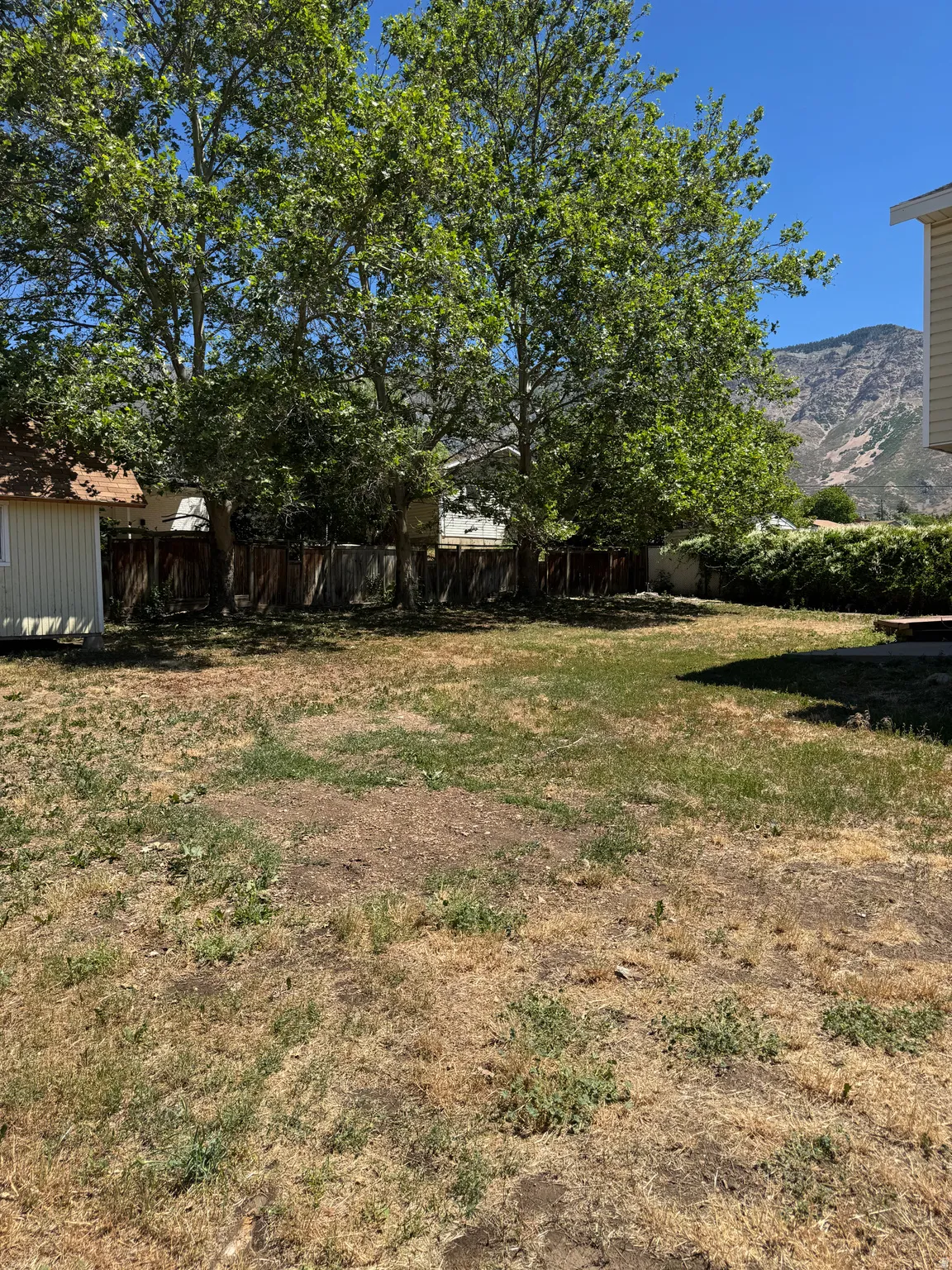 Expansive backyard area featuring mature deciduous trees and a mountain backdrop