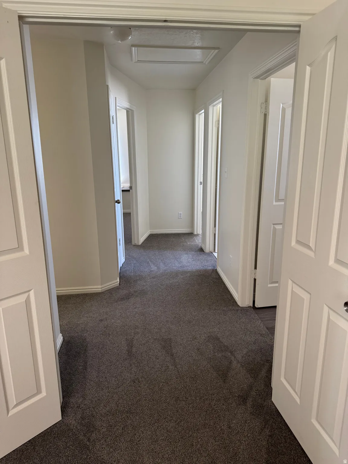 Hallway featuring neutral-toned walls, dark carpeting, and multiple doorways with white panel doors