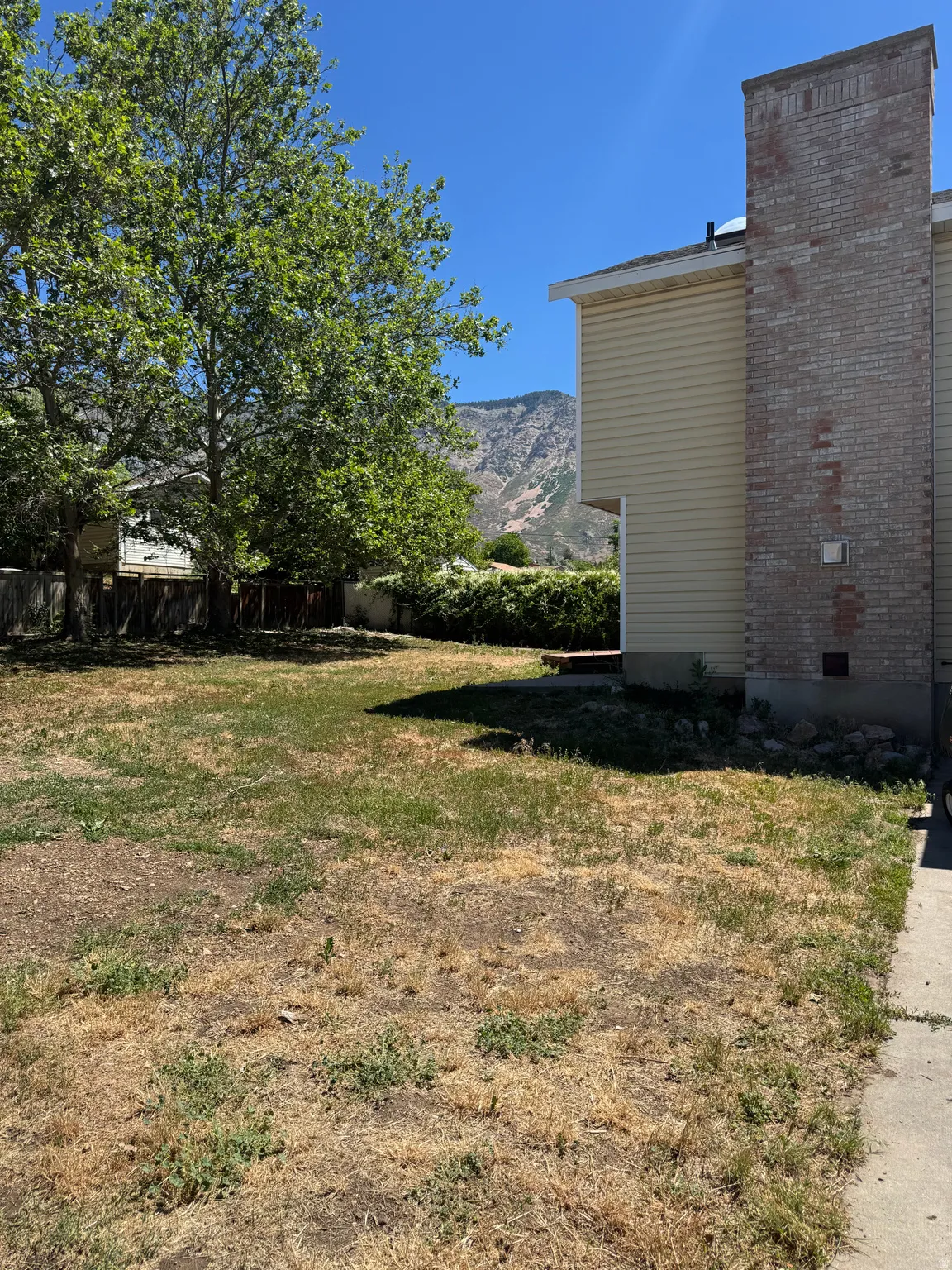 Expansive rear yard featuring mature trees, a partial patio, and a brick chimney exterior
