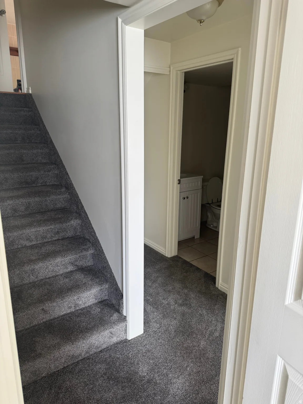 Carpeted stairway with light gray wall paint and white trim