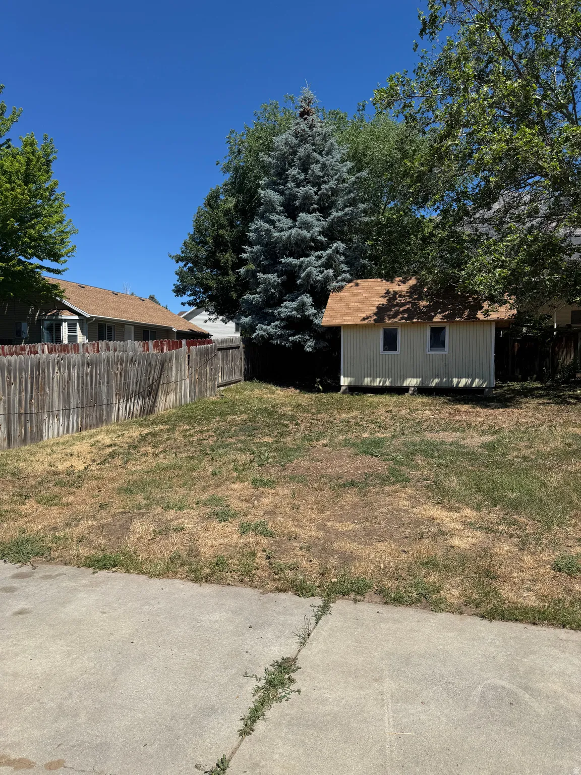 Backyard space featuring a wooden privacy fence, mature trees, and a detached shed with a shingled roof and siding
