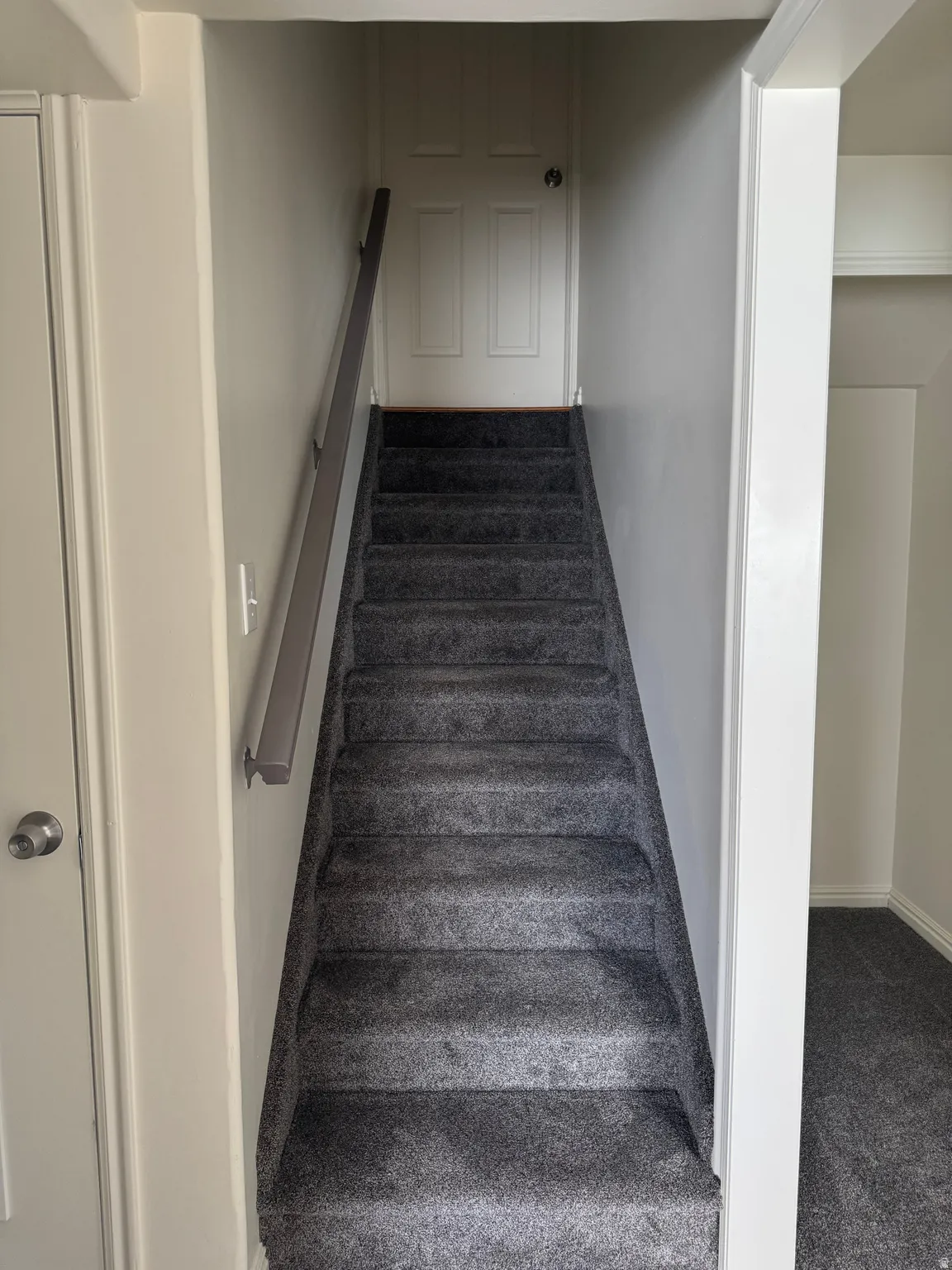 Carpeted staircase with a metal handrail, light-toned walls, and a paneled door