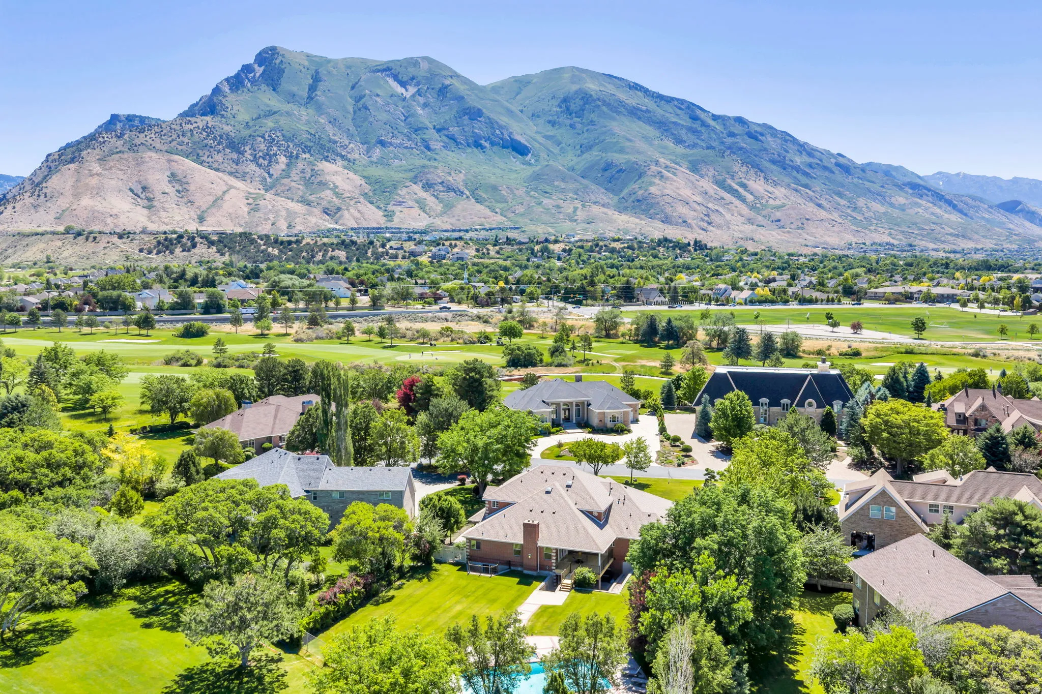 Aerial perspective showcasing a residential community with mature trees and lush green lawns