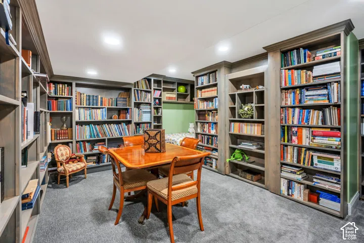 Dedicated library space in basement