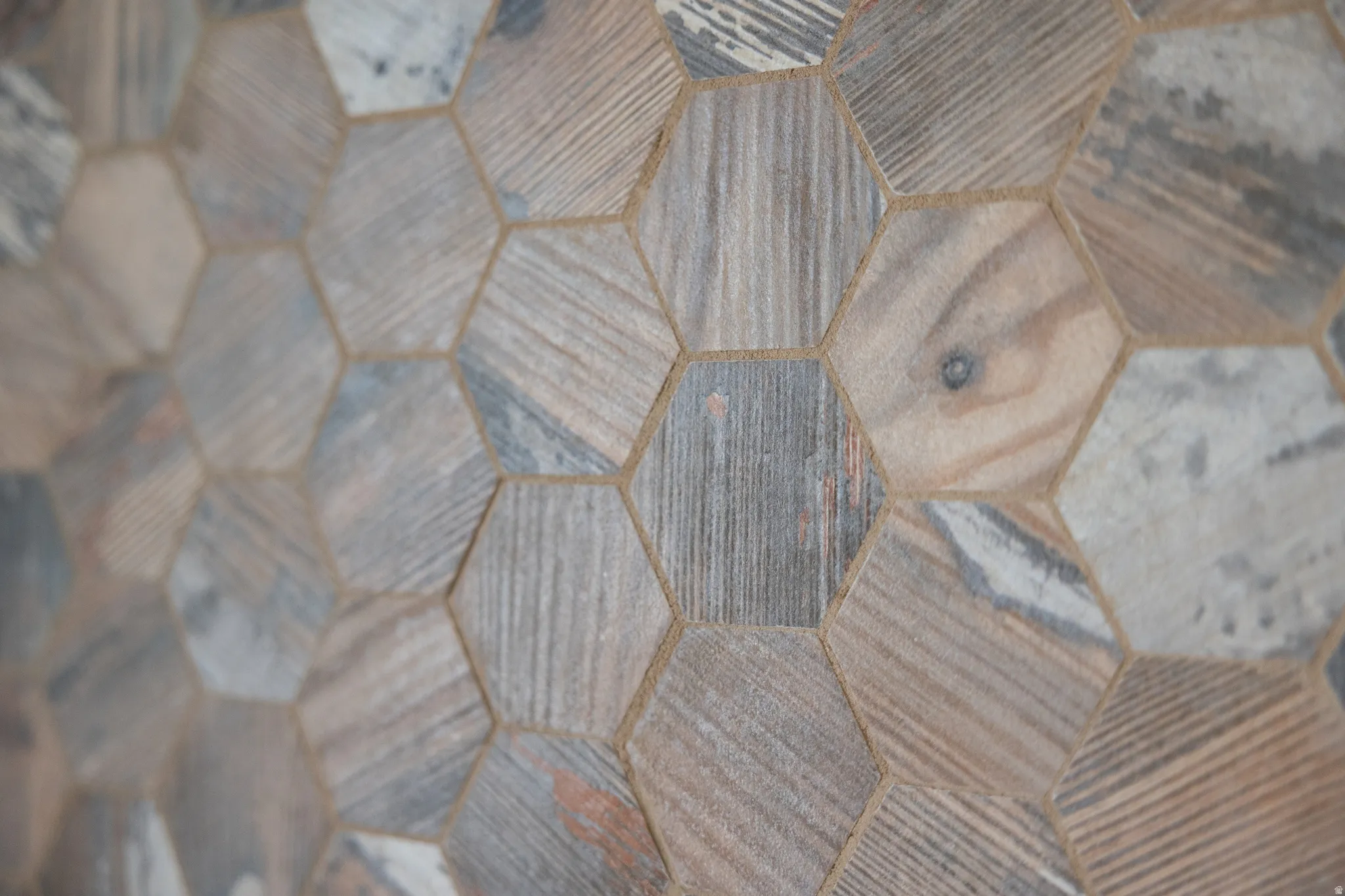 Hexagonal tiles featuring varied wood-grain patterns and neutral grout