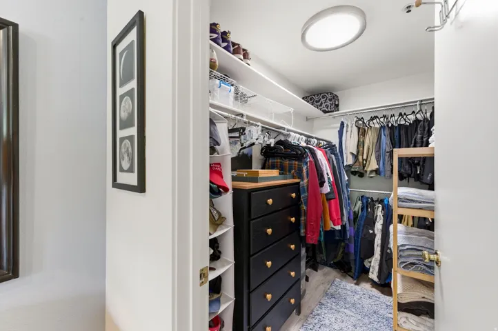 Walk-in closet featuring wood-finish flooring, recessed lighting, built-in shelving, and hanging storage