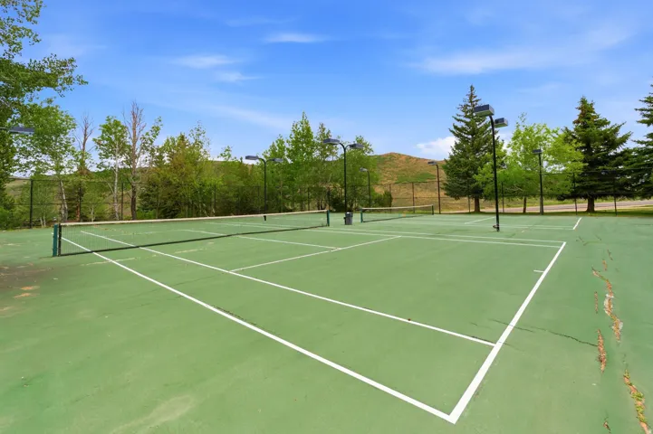 Two tennis courts featuring green surfacing and white court lines, surrounded by mature trees and equipped with court lighting