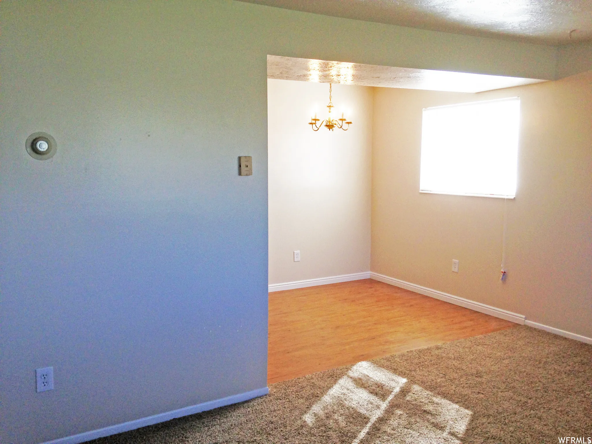 Neutral wall tones with a textured carpeted area