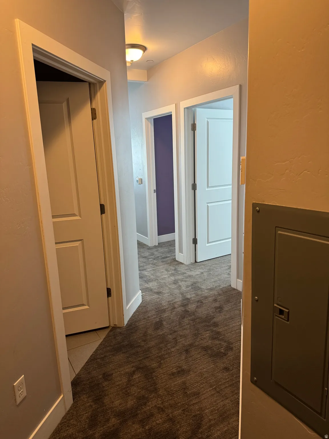 Carpeted hallway featuring multiple white paneled doors, neutral wall paint, and a semi-flush mount ceiling light fixture