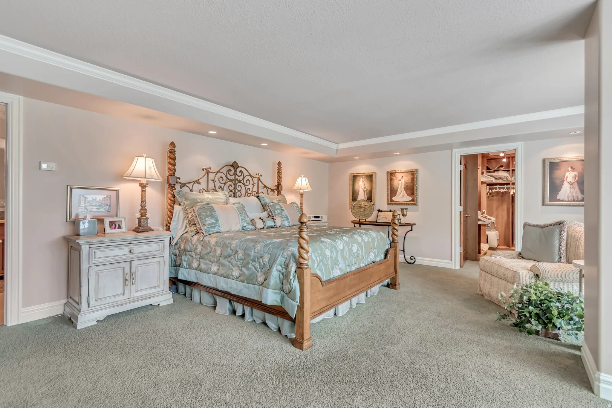 Master Bedroom featuring trey ceiling and walk in closet