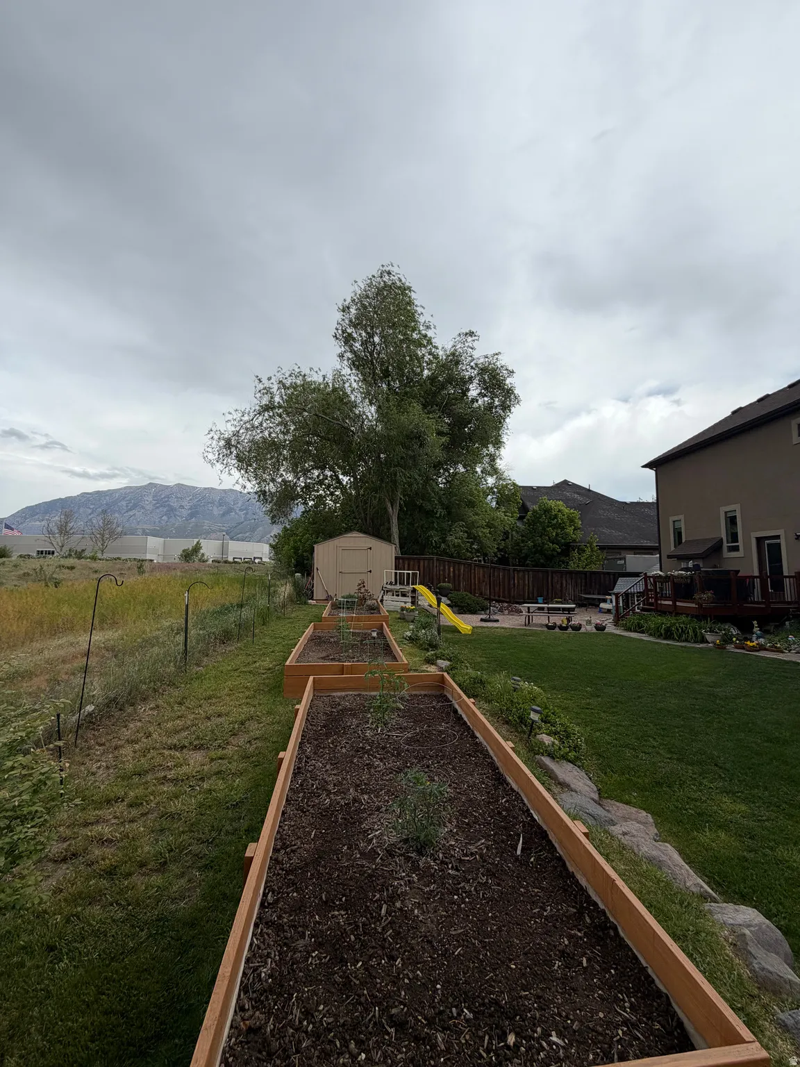 Expansive backyard featuring multiple raised garden beds, a storage shed, and a manicured lawn area