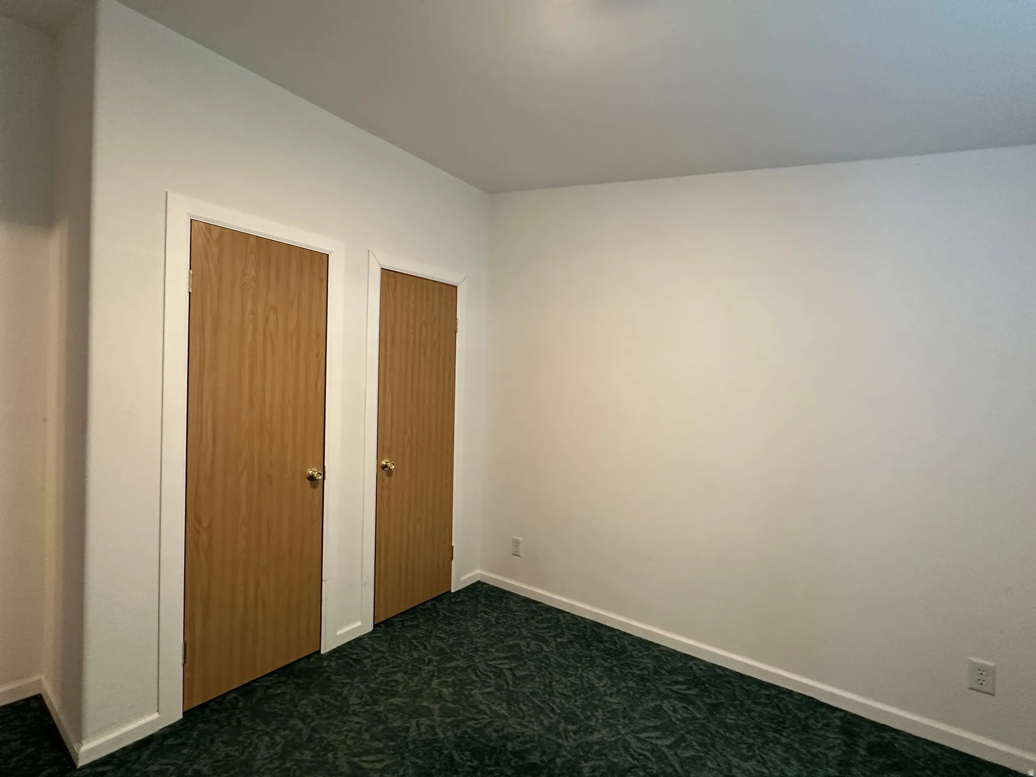 Interior room with two wood-finish doors, white trim, and dark green patterned carpeting