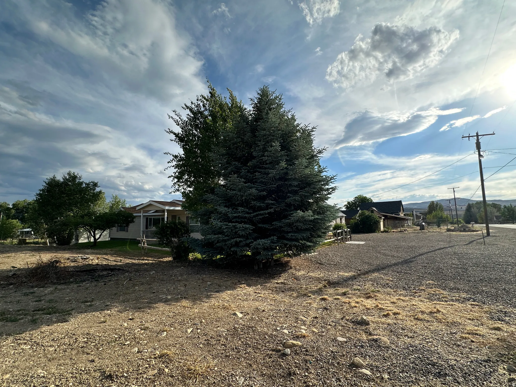 Expansive lot featuring a gravel driveway, mature evergreen tree, and a single-story residence with a covered porch