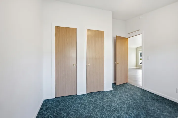 Room with patterned teal carpeting and  double closets and white walls