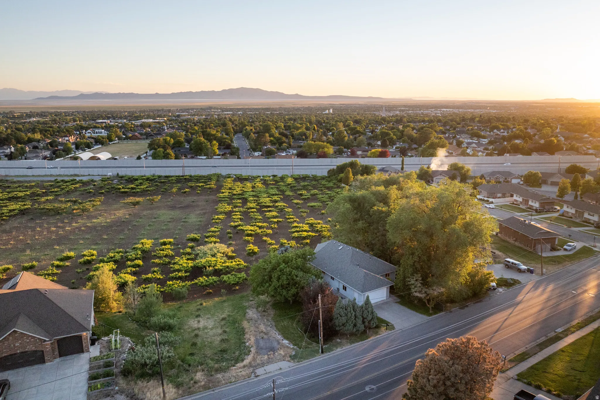 Expansive land parcel featuring mature trees, a clear road frontage, and a distant mountain range