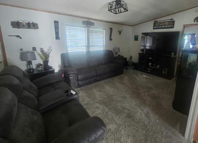 Spacious living area featuring light-toned walls and plush carpeting