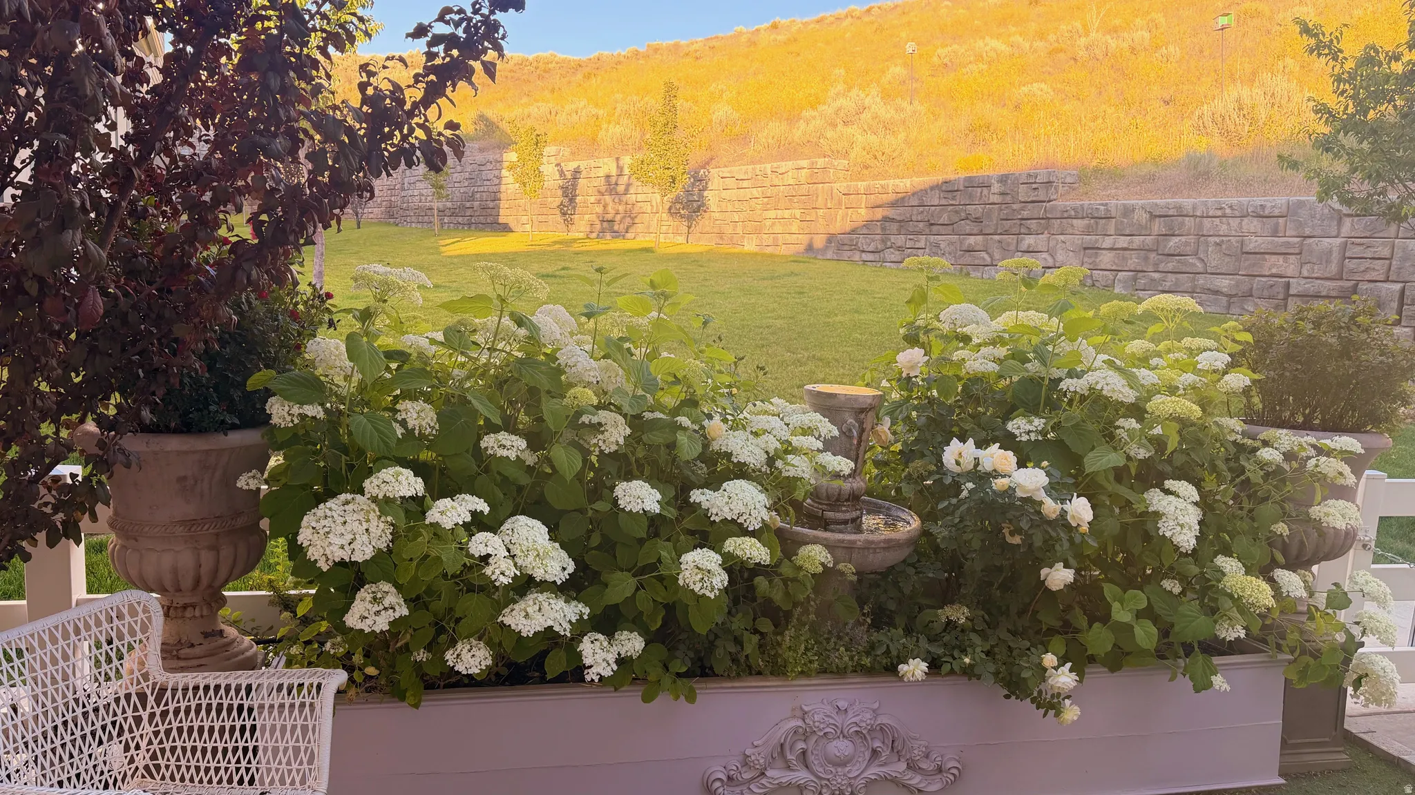 Landscaped outdoor area featuring a built-in planter with white flowering bushes and a tiered water feature
