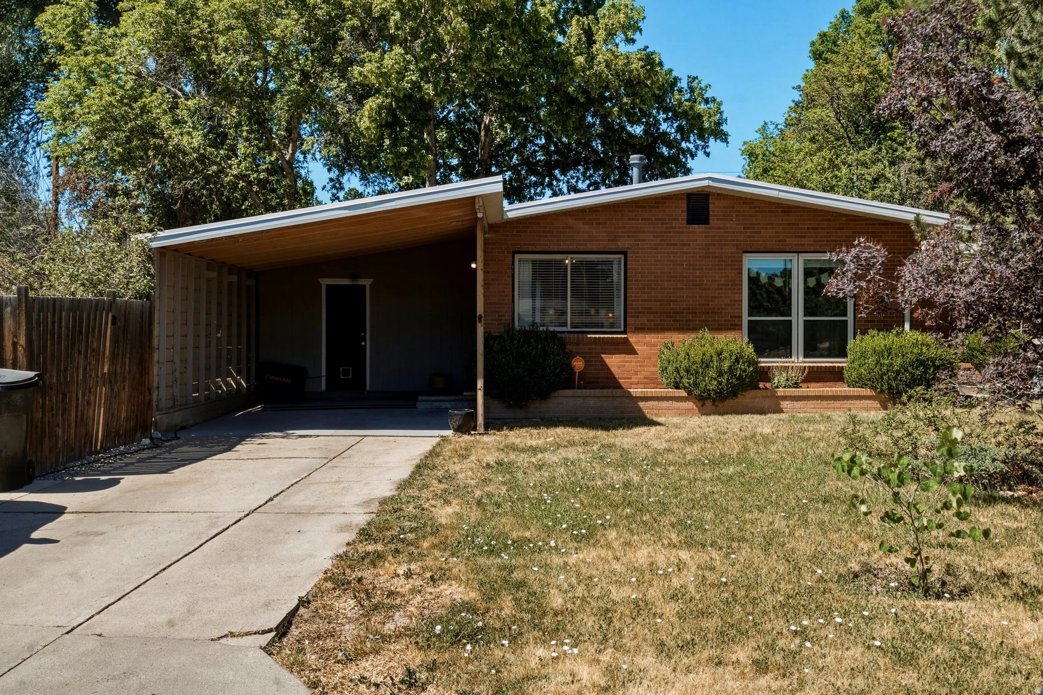 Brick exterior with a covered carport featuring wood-finish ceiling panels, a concrete driveway, and front landscaping